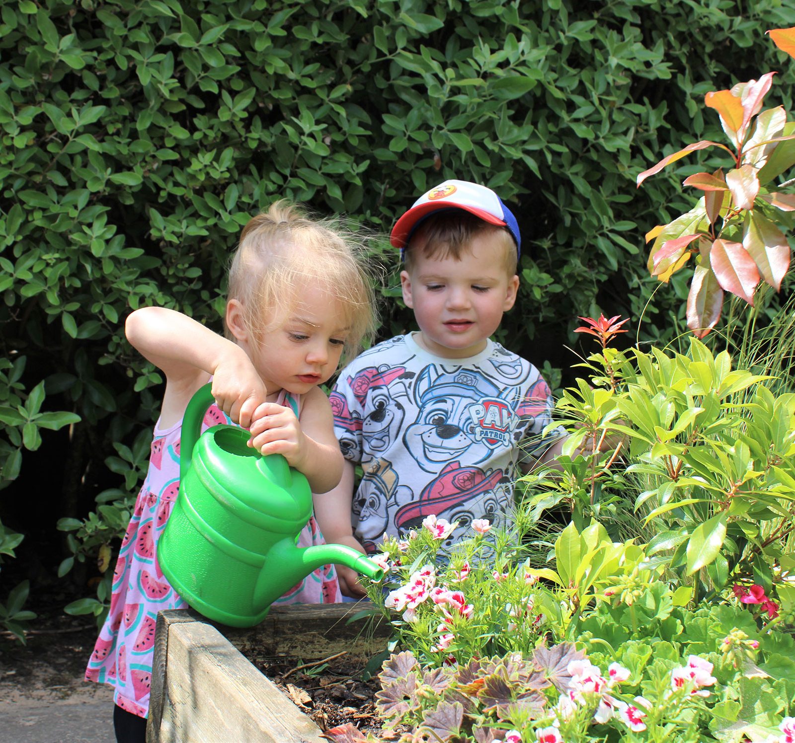 Acorns Nurseries Two children are watering plants in a vibrant garden filled with greenery and flowers, reminiscent of Parc Nantgarw. Amidst the blossoms, they discover acorns scattered beneath lush canopies.