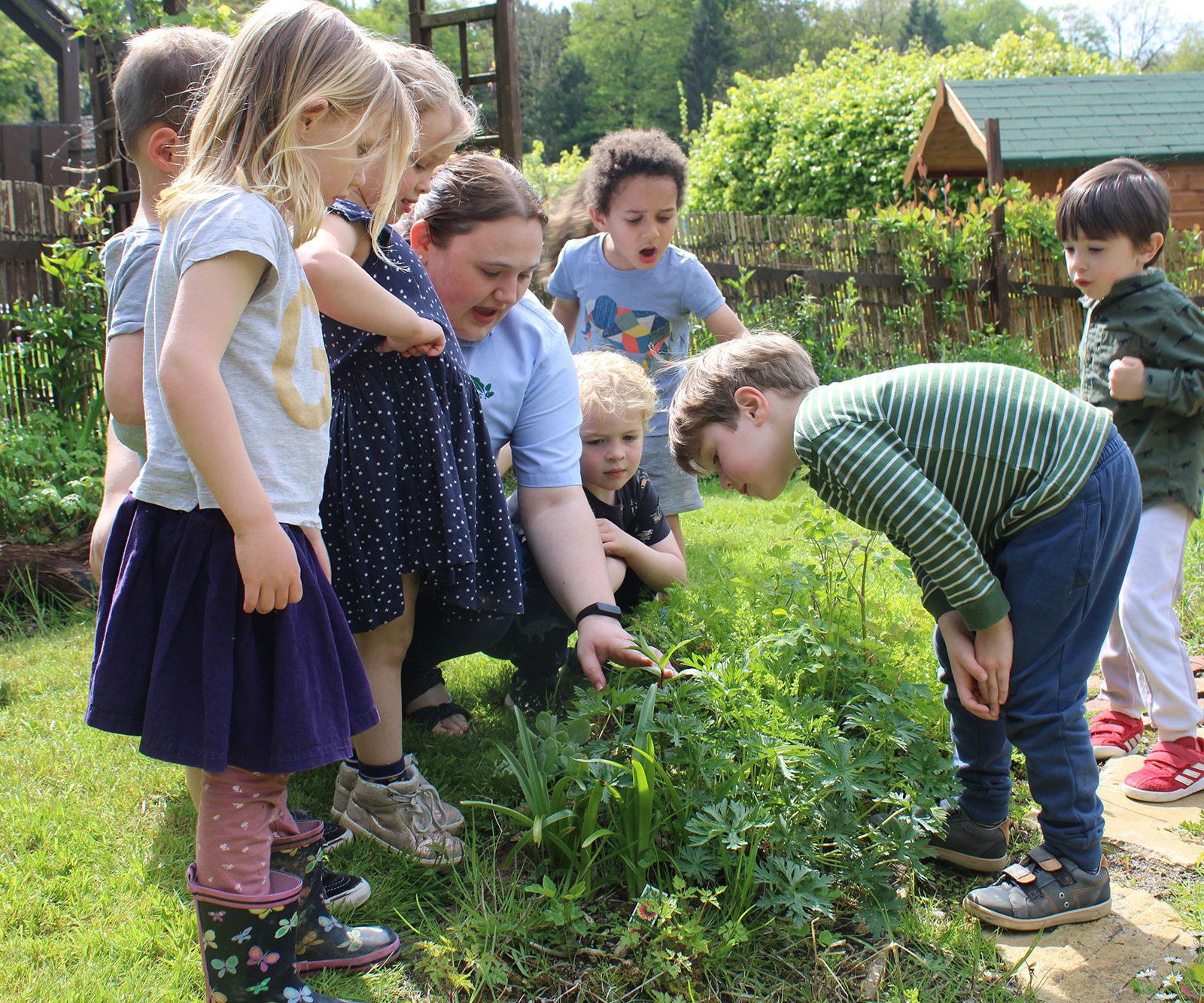 Acorns Nurseries A group of children and an adult explore plants near Henbury Hill House on a sunny day, surrounded by greenery, acorns scattered across the ground, and a wooden fence.