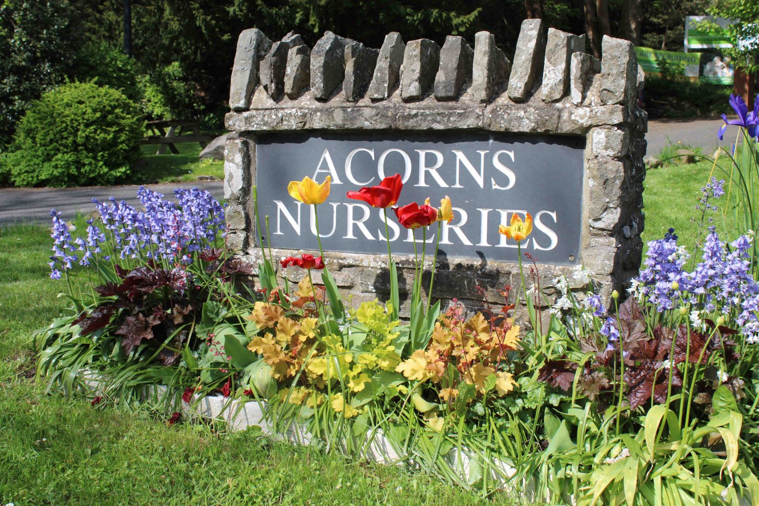 Acorns Nurseries A stone sign reading 