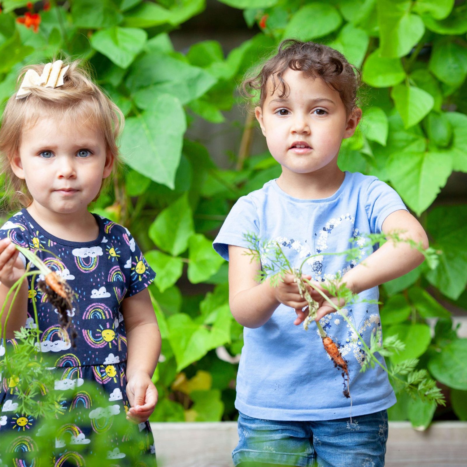 Acorns Nurseries Two children joyfully hold freshly picked carrots in their home garden, surrounded by lush green plants.